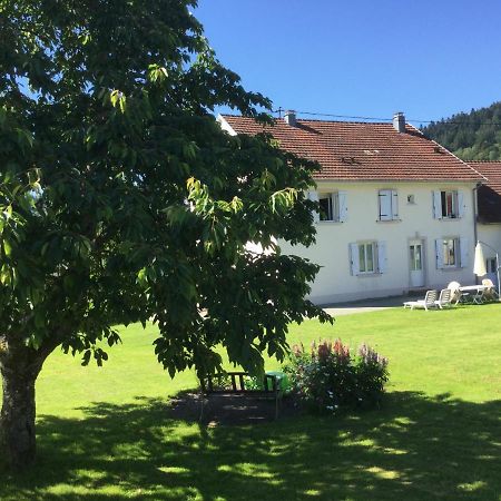 Gîte Léonline sur les hauteurs de Masevaux -au pied des Vosges Esterno foto
