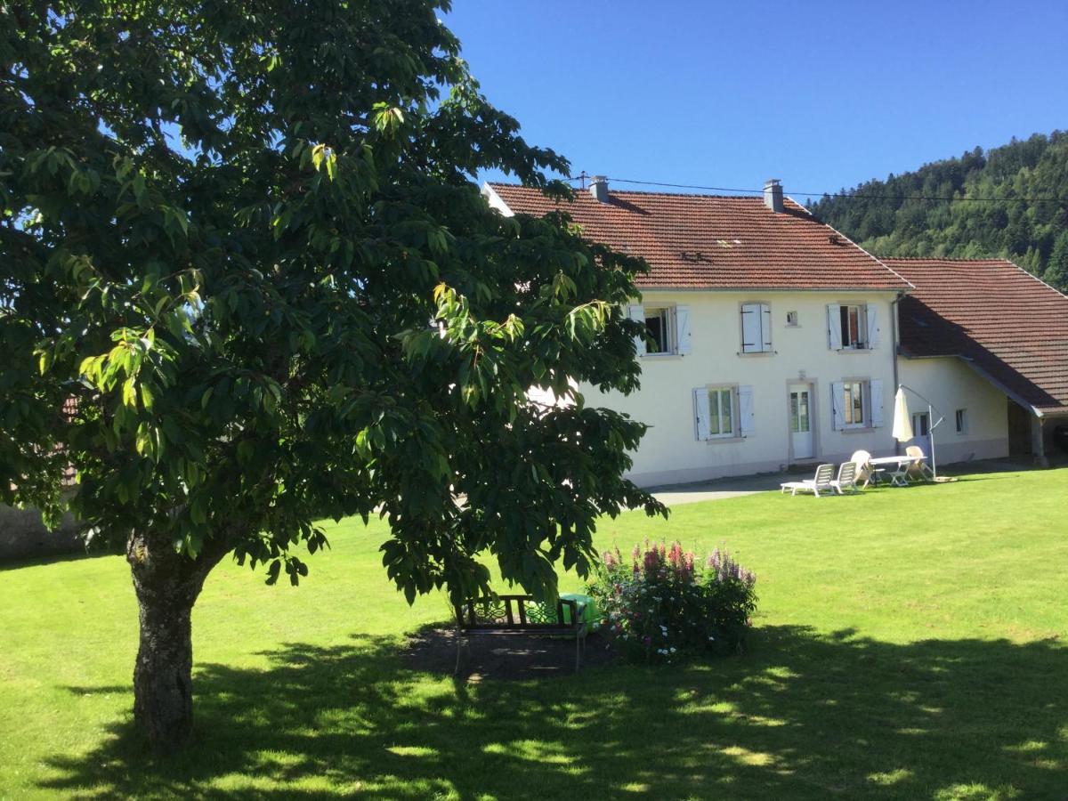 Gîte Léonline sur les hauteurs de Masevaux -au pied des Vosges Esterno foto
