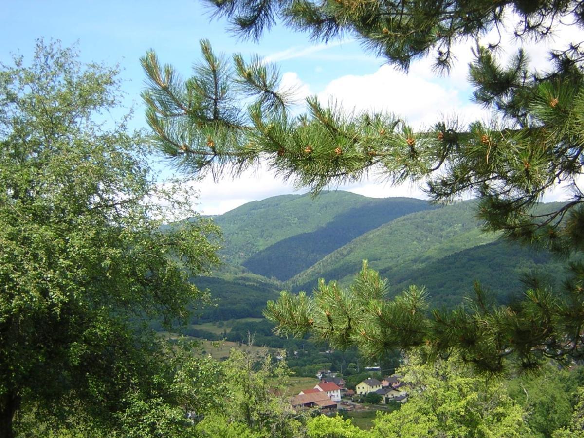 Gîte Léonline sur les hauteurs de Masevaux -au pied des Vosges Esterno foto