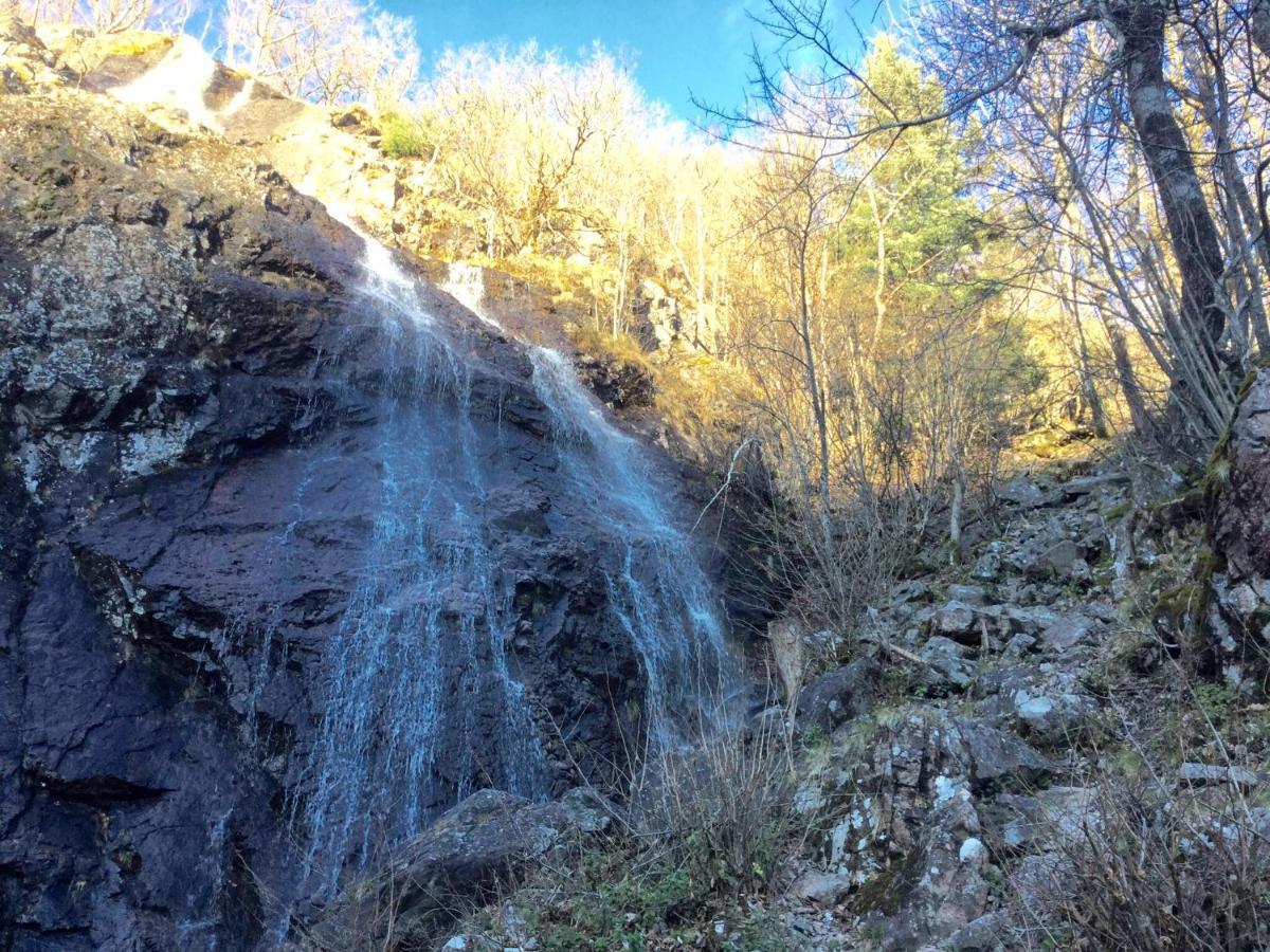 Gîte Léonline sur les hauteurs de Masevaux -au pied des Vosges Esterno foto