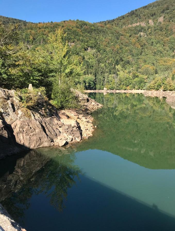 Gîte Léonline sur les hauteurs de Masevaux -au pied des Vosges Esterno foto