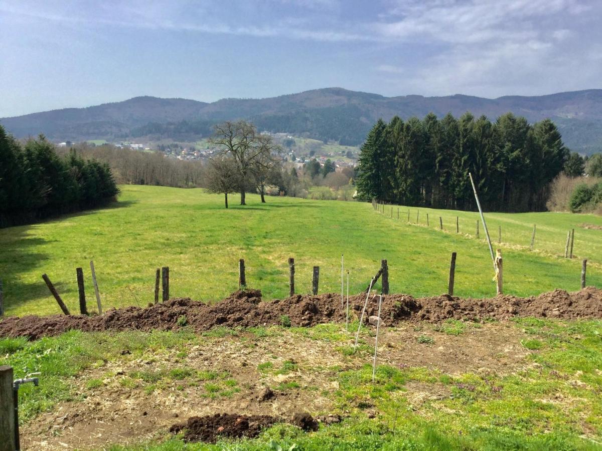 Gîte Léonline sur les hauteurs de Masevaux -au pied des Vosges Esterno foto