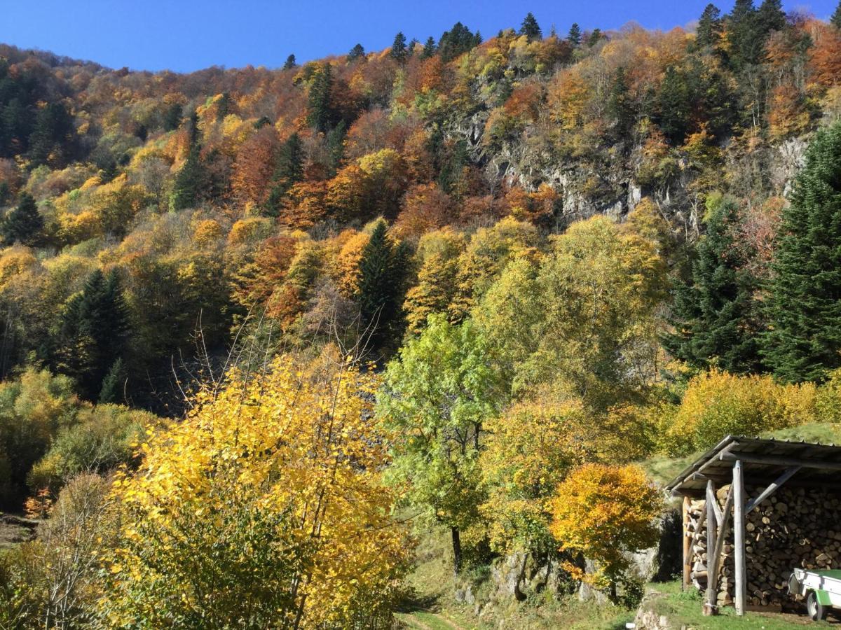 Gîte Léonline sur les hauteurs de Masevaux -au pied des Vosges Esterno foto