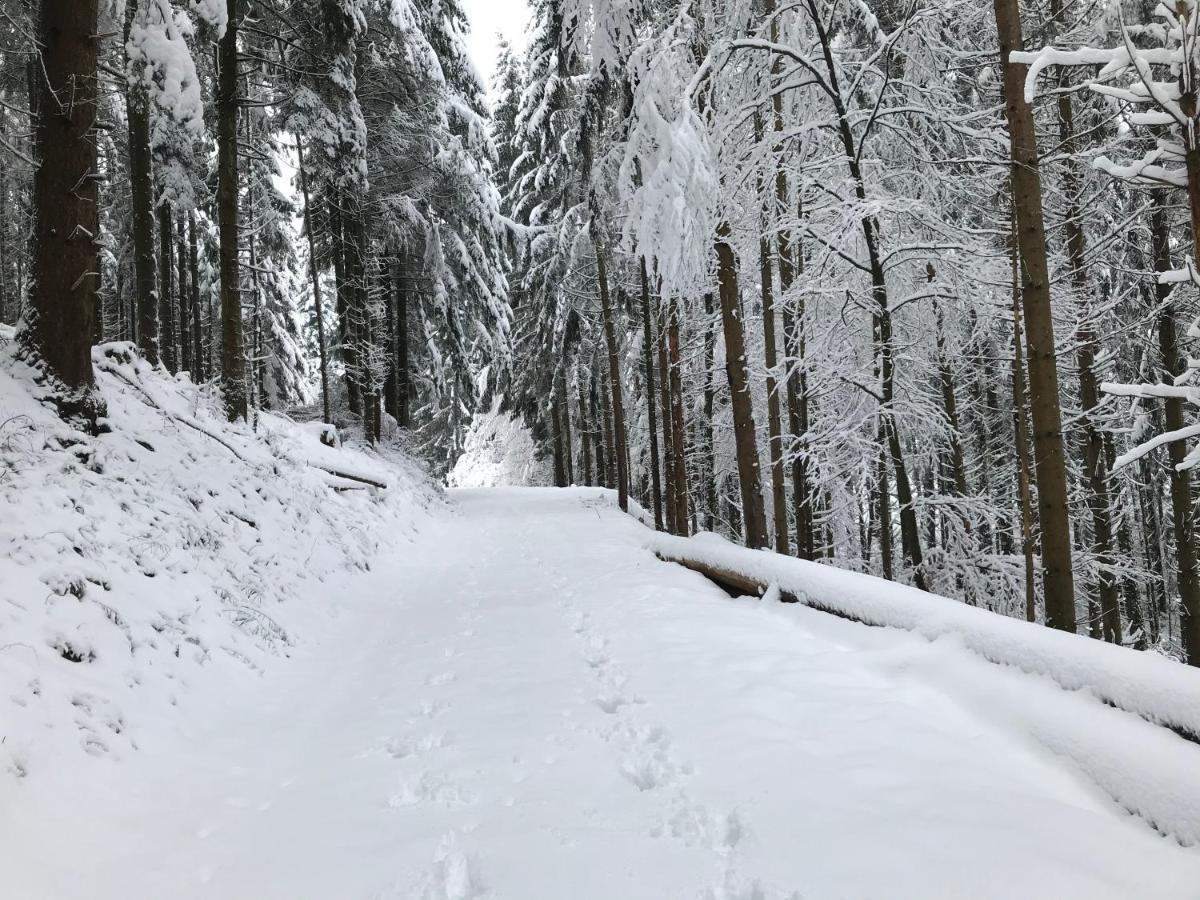 Gîte Léonline sur les hauteurs de Masevaux -au pied des Vosges Esterno foto