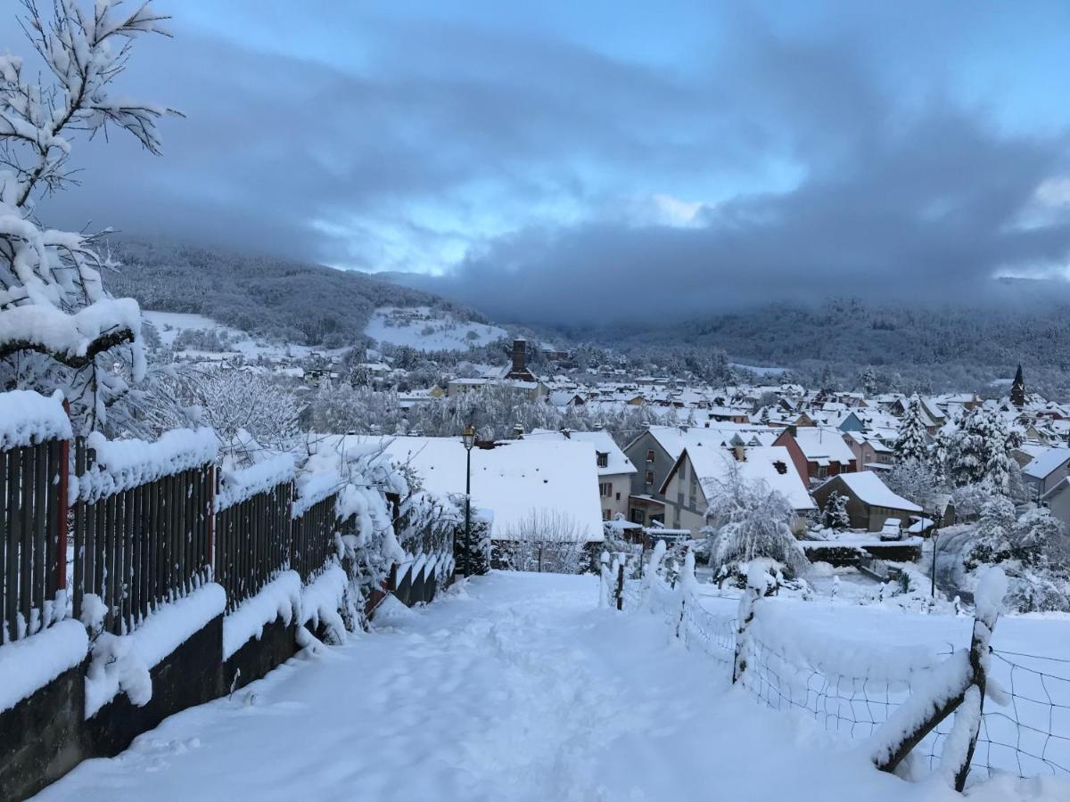 Gîte Léonline sur les hauteurs de Masevaux -au pied des Vosges Esterno foto