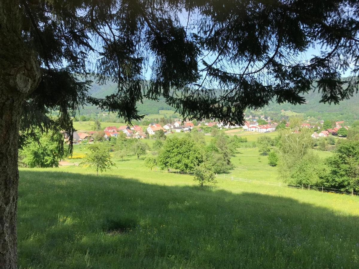 Gîte Léonline sur les hauteurs de Masevaux -au pied des Vosges Esterno foto